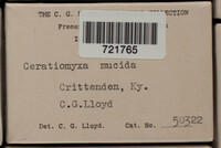 Image Associated With the Occurence